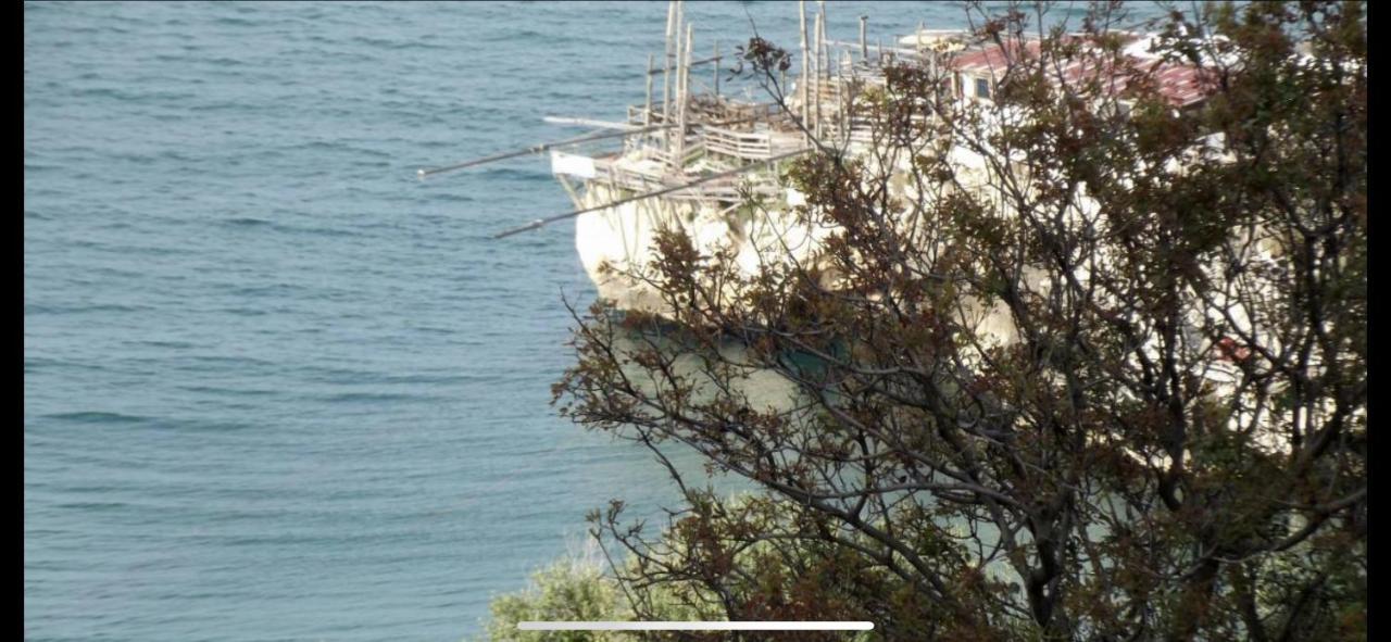 Villa Pineta San Menaio Luaran gambar