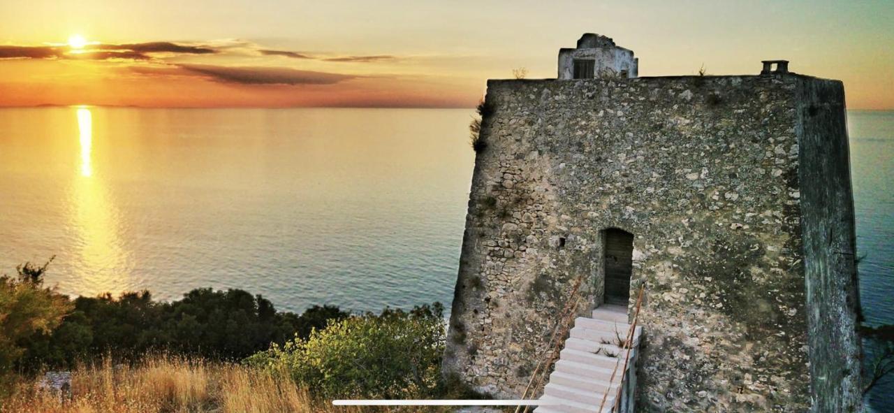 Villa Pineta San Menaio Luaran gambar