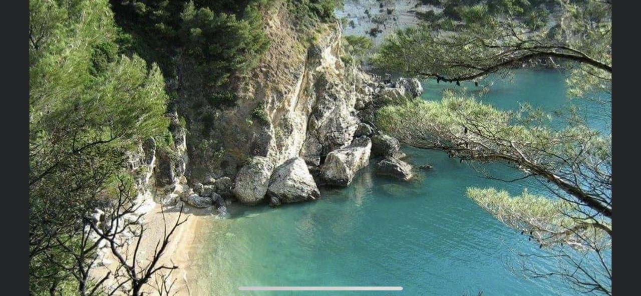 Villa Pineta San Menaio Luaran gambar