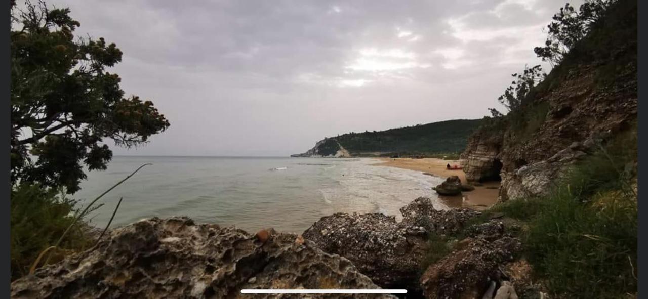 Villa Pineta San Menaio Luaran gambar