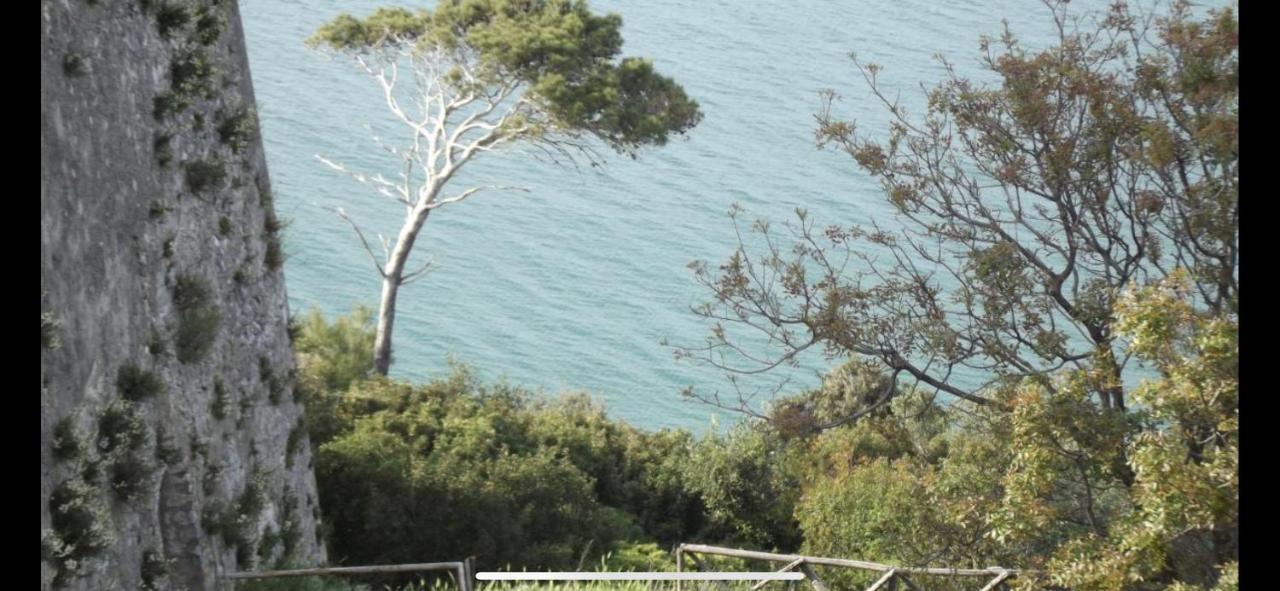 Villa Pineta San Menaio Luaran gambar