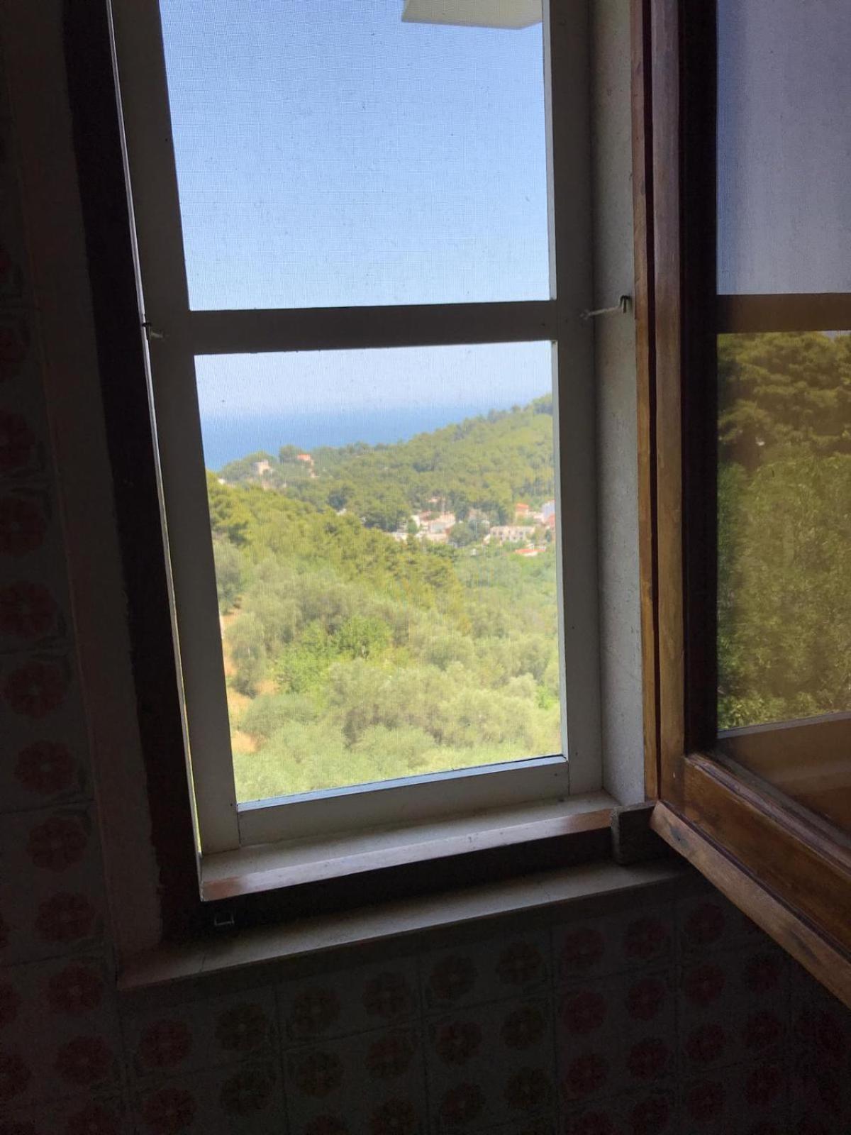 Villa Pineta San Menaio Luaran gambar